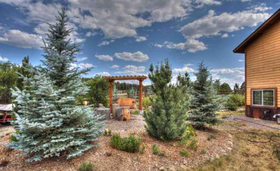 Location Overview Of 34 capitan cir pagosa spgs colorado 81147-9197