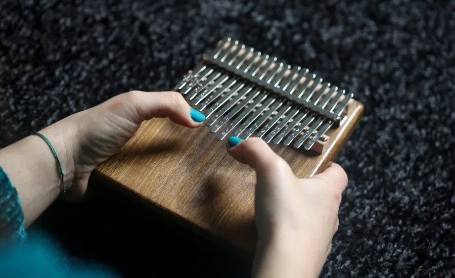 Stagg 21 kalimba tuning software for mac